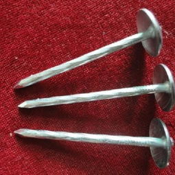 高密市宏宇五金制品厂 专业销售镀锌瓦楞钉的可靠供应商